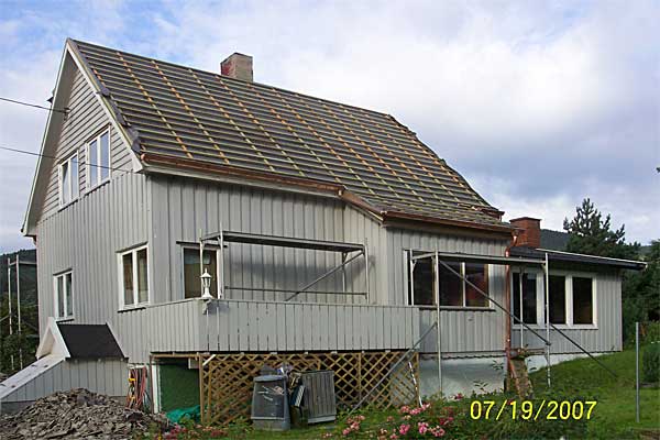 100 1039 web